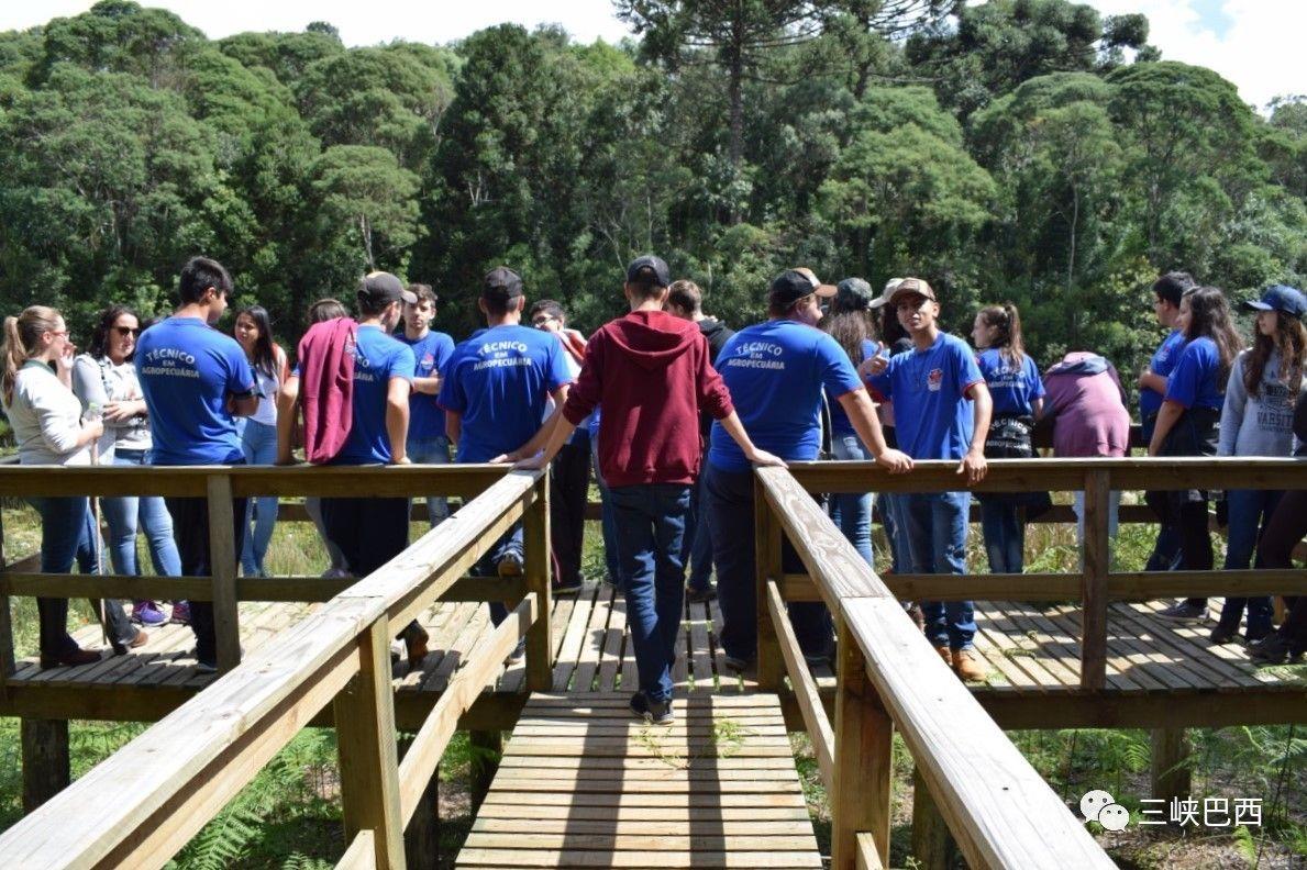 2019041210054198680 2019041210054198680